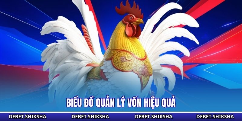 Đá Gà Tre Tại Debet - Hệ Thống Các Cửa Cược Phổ Biến Biểu đồ quản lý vốn hiệu quả
