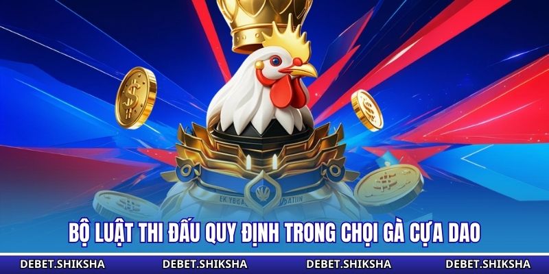 Đá Gà Cựa Dao - Hình Thức Thi Đấu Tốc Độ Cao Đầy Kịch Tính Bộ luật thi đấu quy định trong chọi gà cựa dao